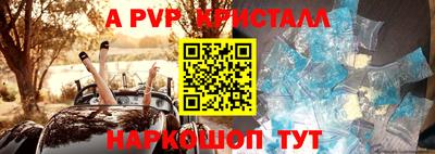 шишки Кимры