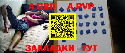шишки Кимры