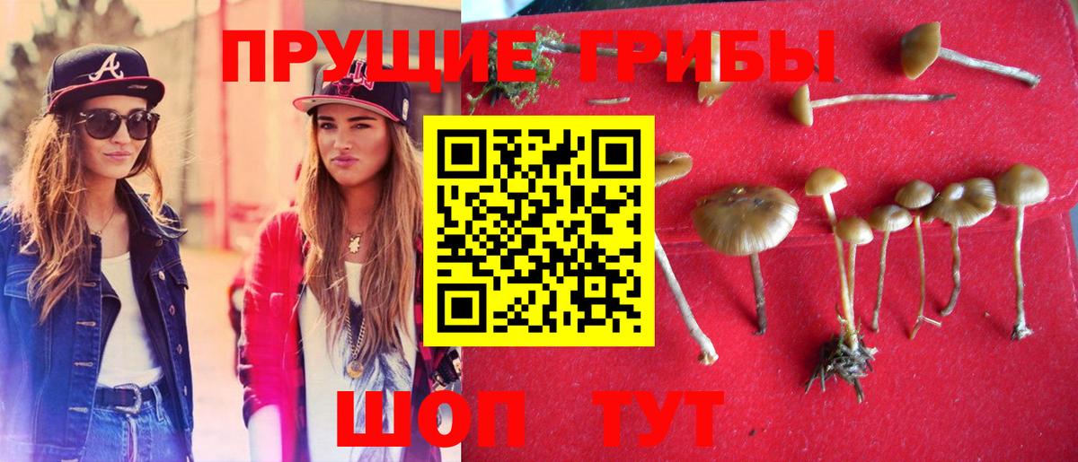 Псилоцибиновые грибы Psilocybe  Вход с VPN  Галлюциногенные грибы Magic Shrooms  Котлас 